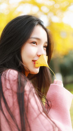 91搞鸡功能界面